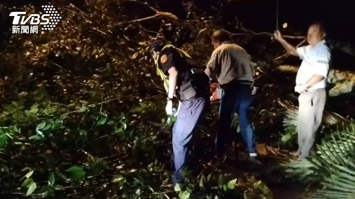 和平分局警方則是與居民合作,將倒在七棟寮產業道路的路樹鋸斷。(圖/TVBS)