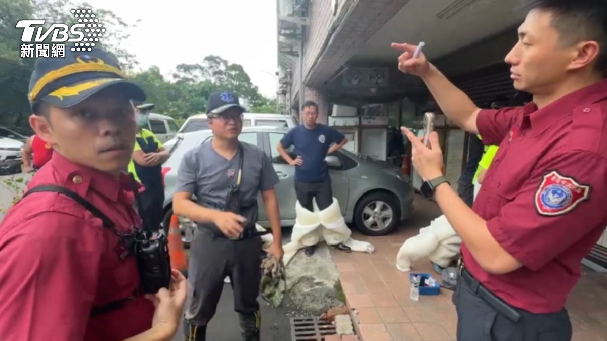 警消稱,蜜蜂攻擊性很強,目前已分路線進行搜索。(圖/TVBS)