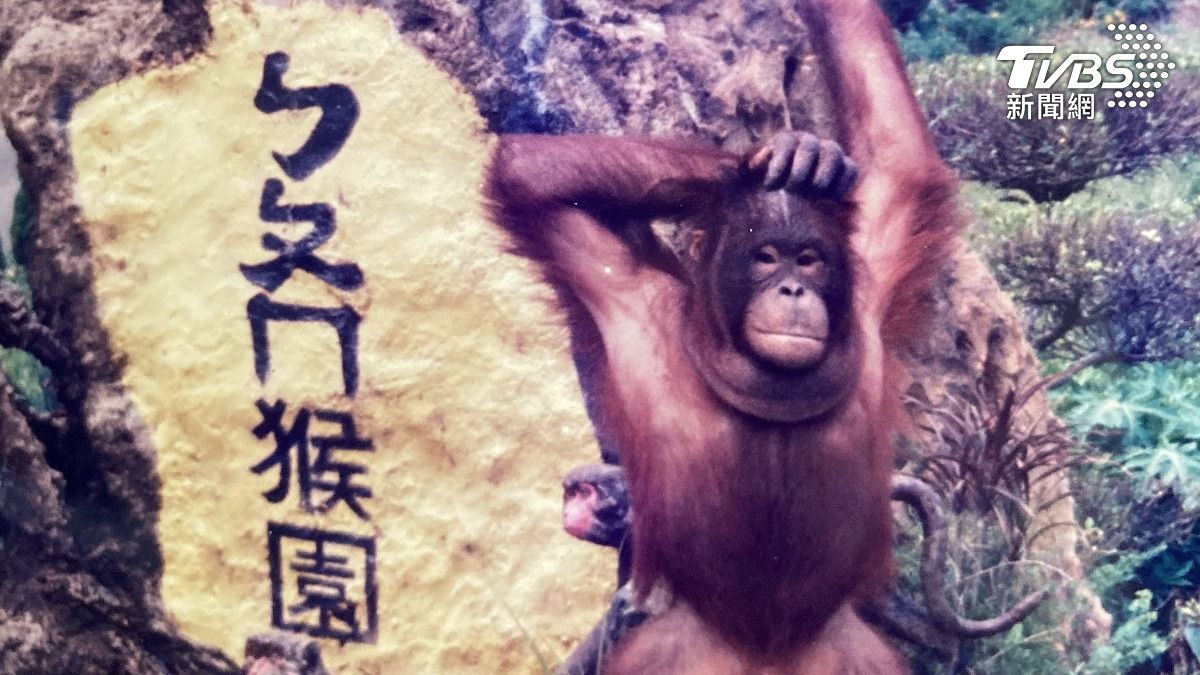 ㄅㄆㄇ猴園停業超過20年,如今遭業者違法傾倒廢棄物。(圖/資料畫面)