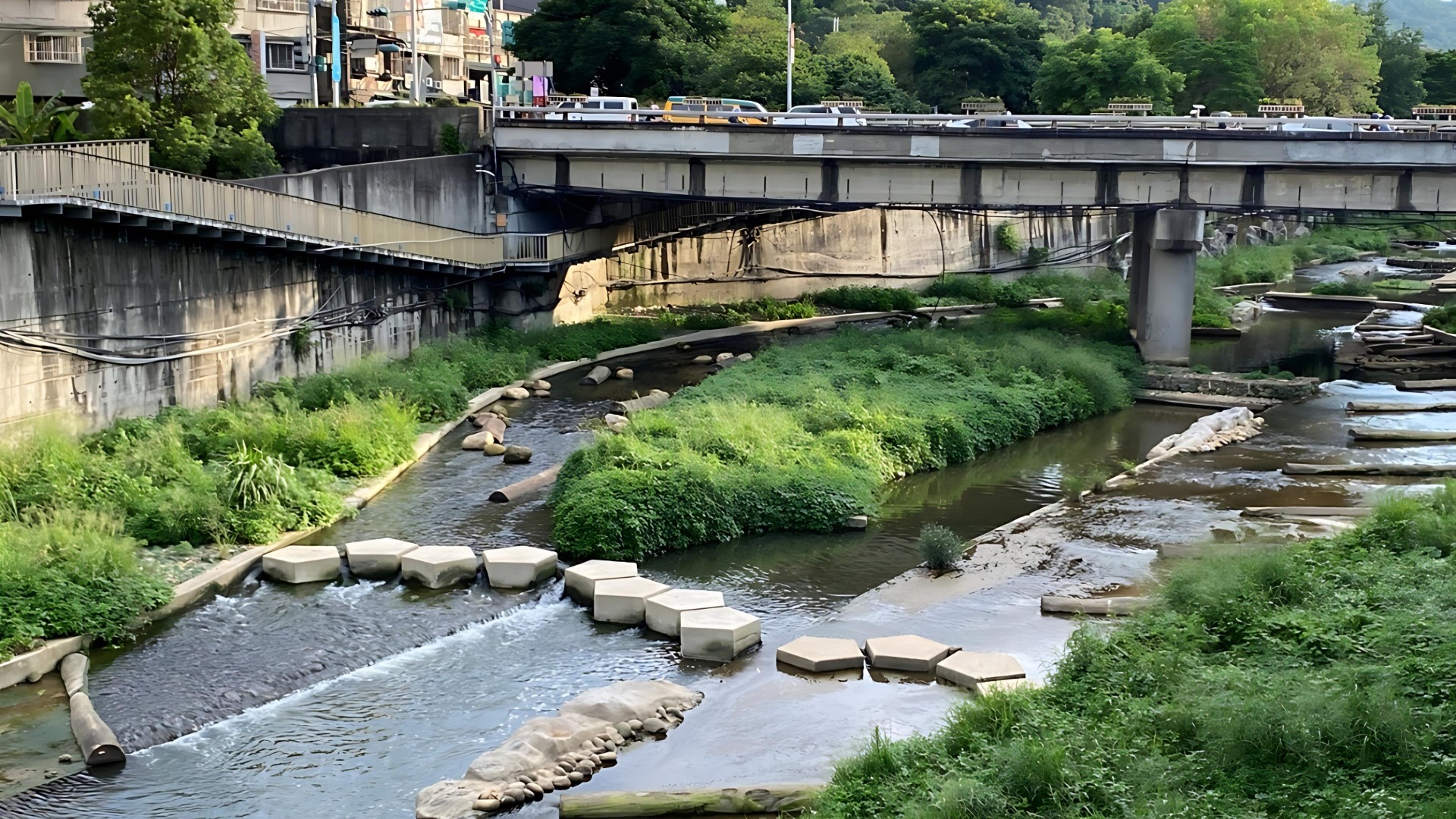 ▲河川增設中島,除增加生物棲地外,也能提供多元水流環境。(圖片來源:新北市政府水利局)
