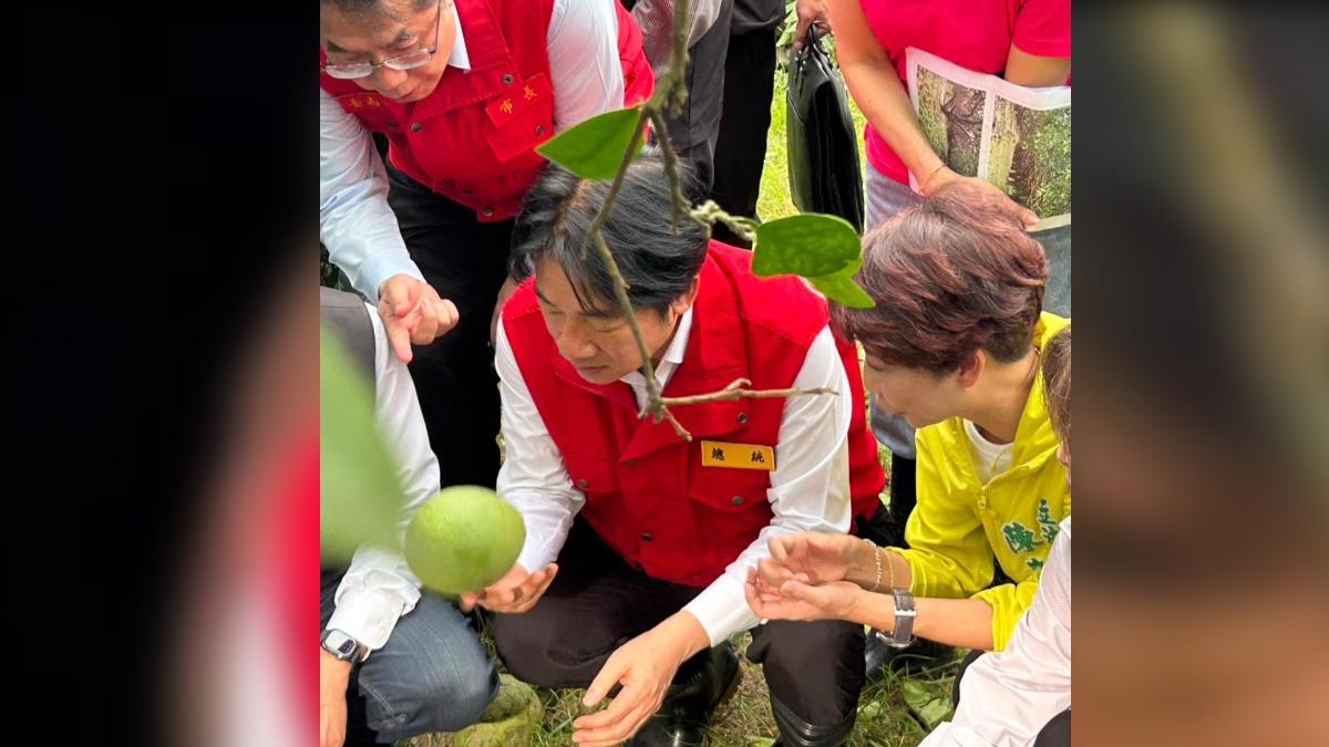 陳亭妃貼出的勘災照刻意切掉了蹲在最左邊的林俊憲。（圖／翻攝自陳亭妃臉書）