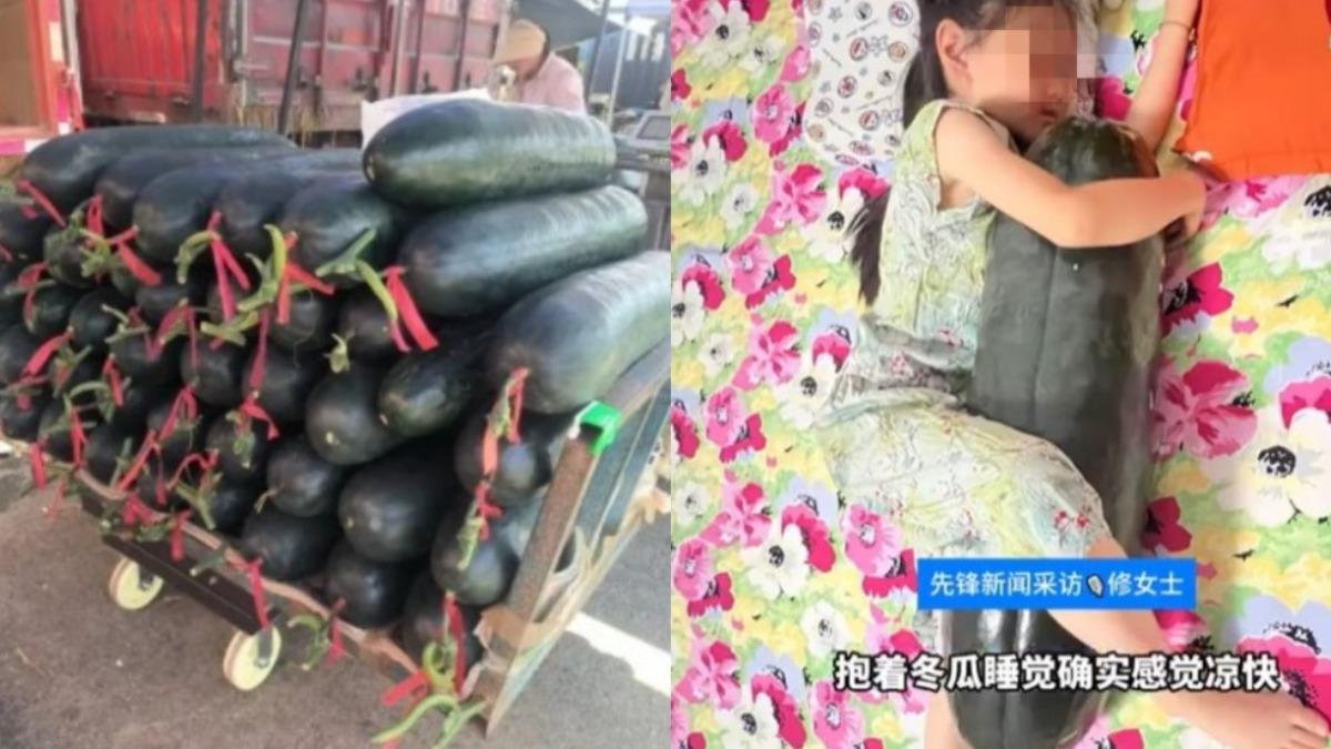 含水量高達95%以上的冬瓜就類似「天然水枕」,能夠吸收人體體表熱度。(圖/翻攝自 微博@新京報)