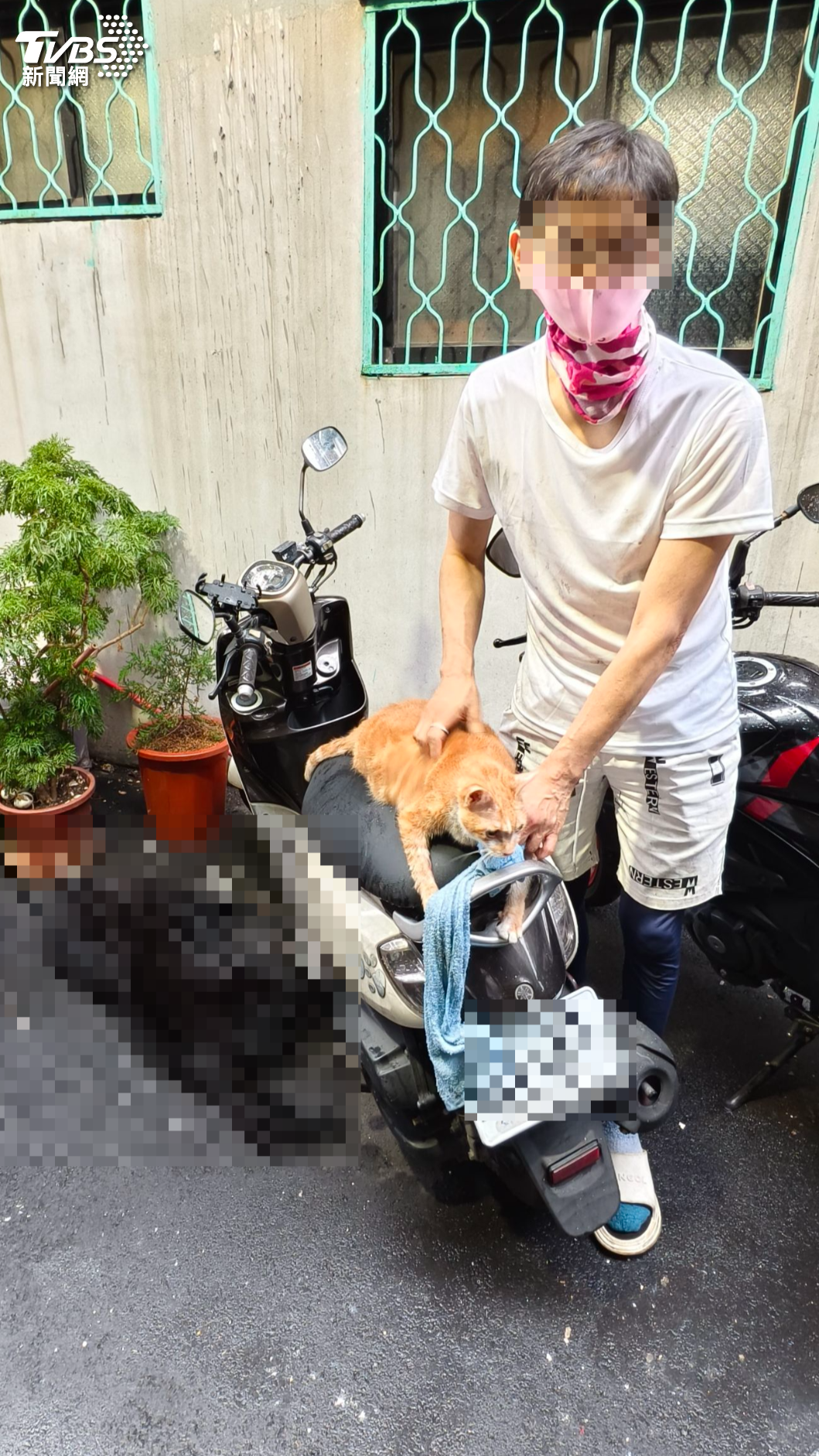 飼主心疼地扶著橘貓。（圖／陳冠宇攝）
