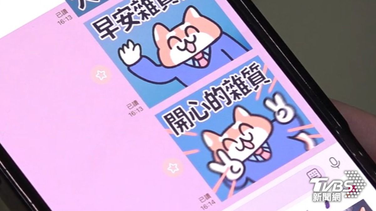 雜質貼圖（圖／TVBS資料畫面）