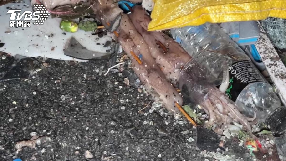 魷魚散落滿地。（圖／TVBS）