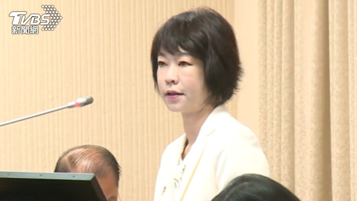 行政院經貿談判辦公室副總談判代表顏慧欣。(圖/TVBS)