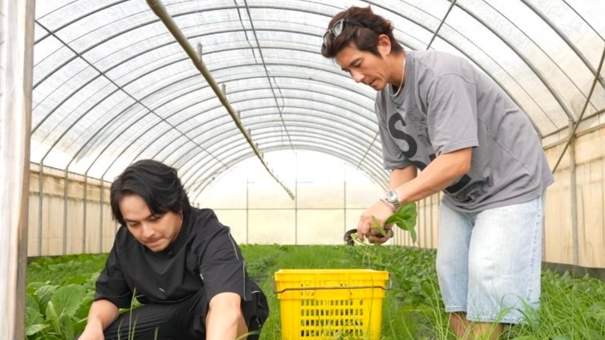 修杰楷(右)、楊銘威一起摘菜。(圖/《修TIME》提供)
