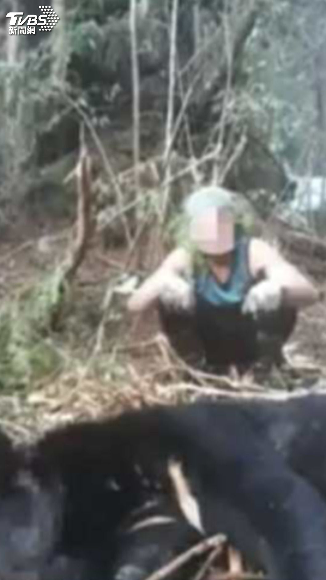 台灣黑熊被獵殺煮食　判決引爭議：保育動物竟是「無主物」。（圖／ＴＶＢＳ資料畫面）