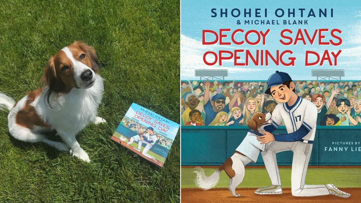 大谷翔平愛犬Dekopin成繪本主角!MLB官方搶幫宣傳