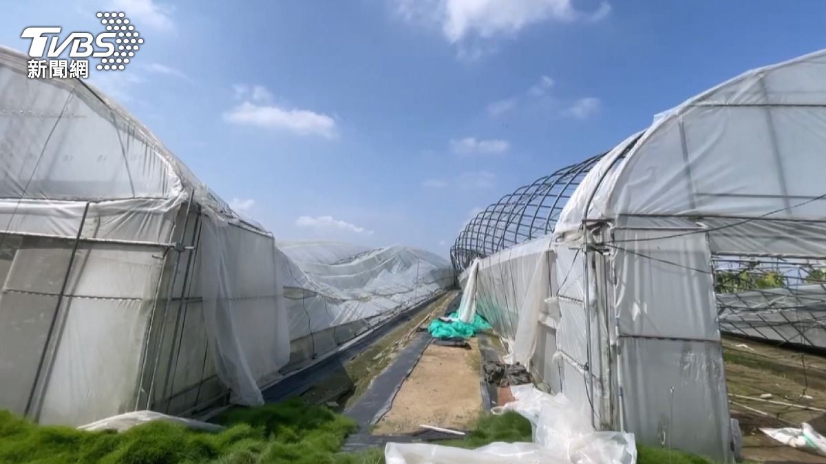許多農民的溫室設施變成一堆廢鐵與細網,災後近兩周仍未見復原進展。(圖/TVBS)