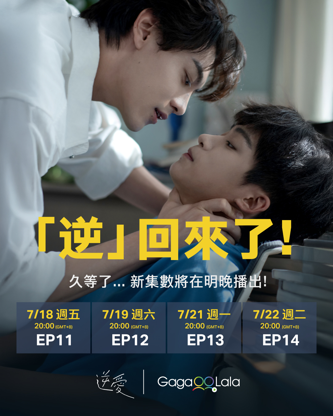 《逆愛》復播日程。（圖／GagaOOLala提供）