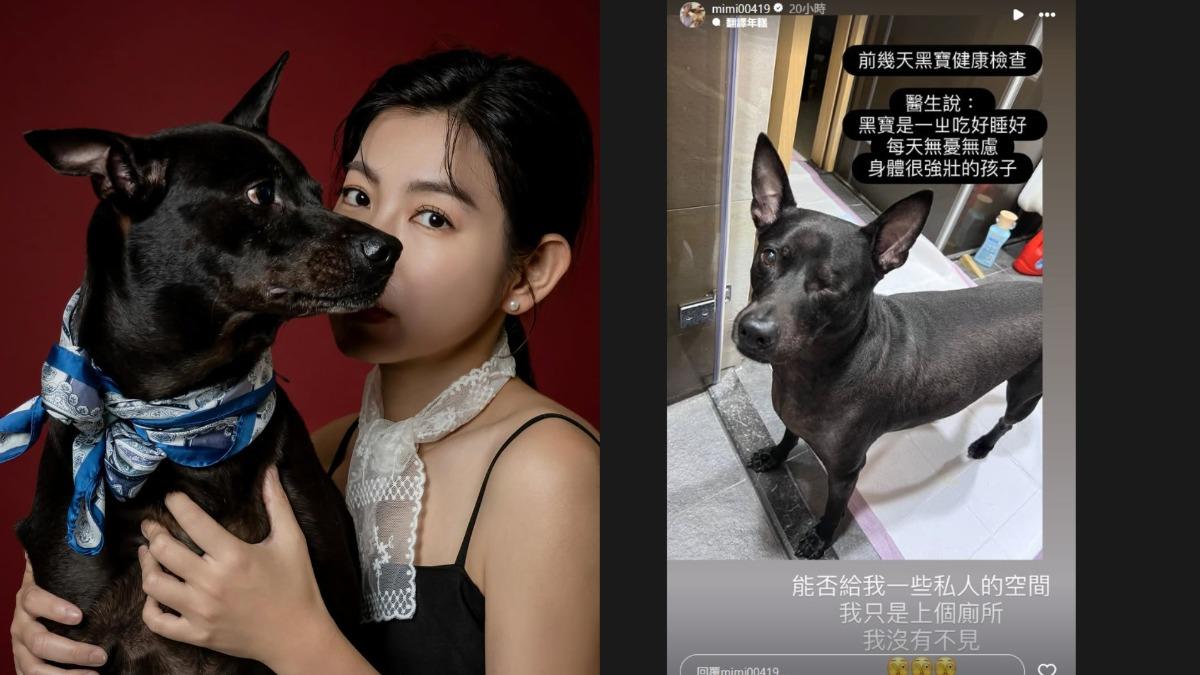 米可白分享愛犬「黑寶」連上廁所都要跟在她身旁。(圖/翻攝自米可白臉書)