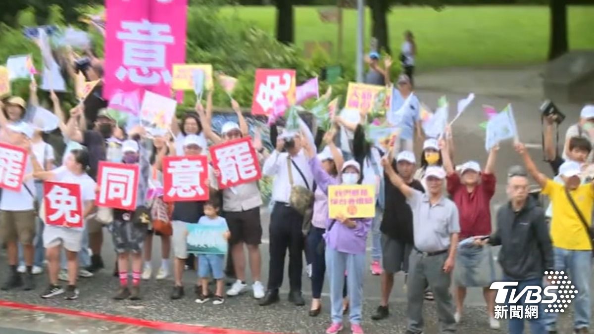 罷免團隊(圖/TVBS資料畫面)