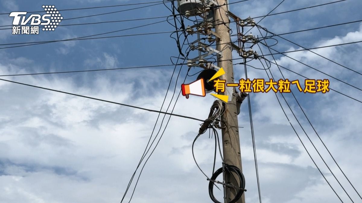 「大粒球」離家出走,里長廣播全村協尋。(圖/TVBS)