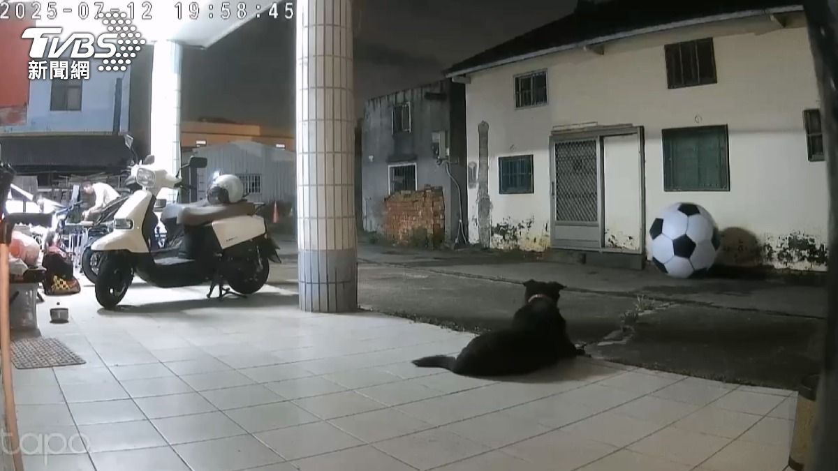 黑狗叫喚主人未察覺,監視器畫面曝真相。(圖/TVBS)