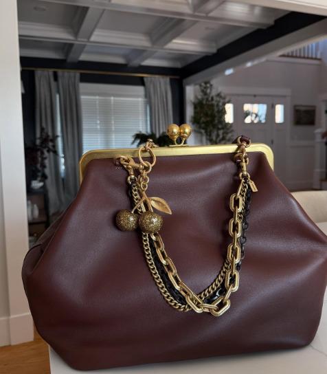 Coach爆紅包Kisslock Frame Bag。（圖／翻攝自IG@luxbiz_ness）