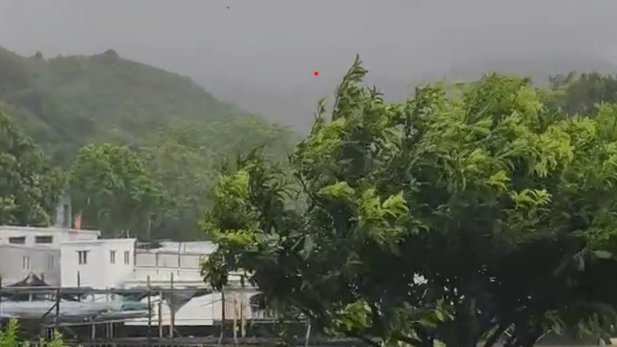 颱風薇帕下風力強,大樹被猛吹。(圖/大澳居民盧先生提供)