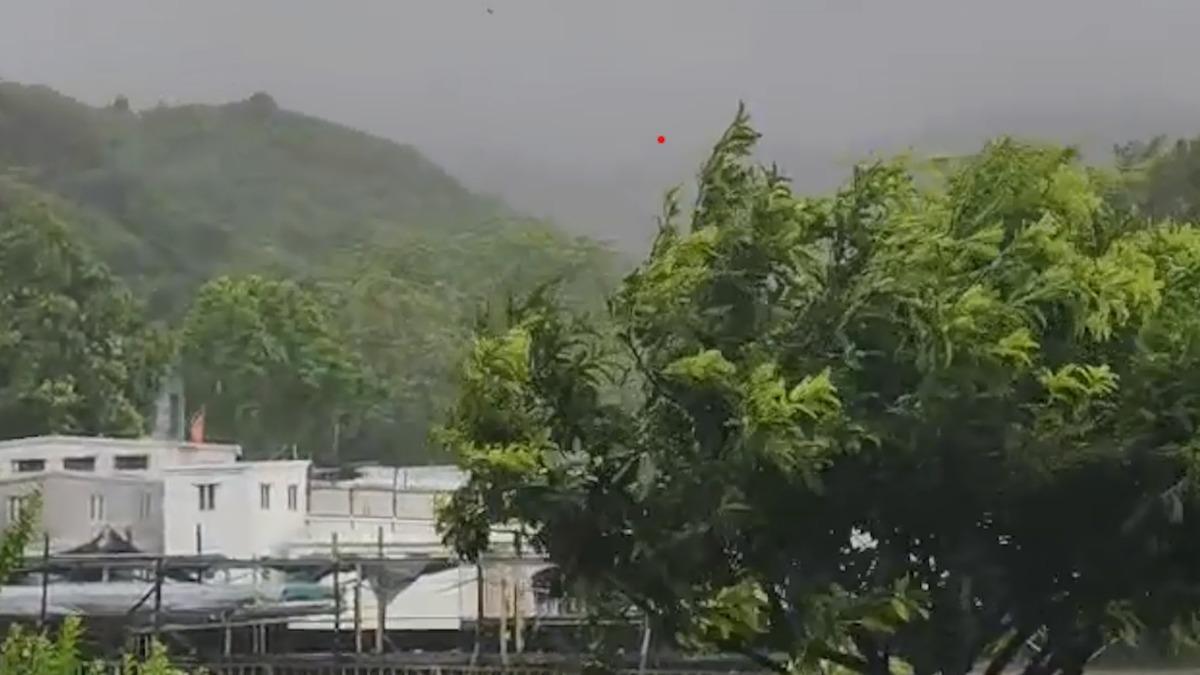 颱風薇帕發威!港大澳「樹木被猛吹狂搖擺」 現場短片全直擊