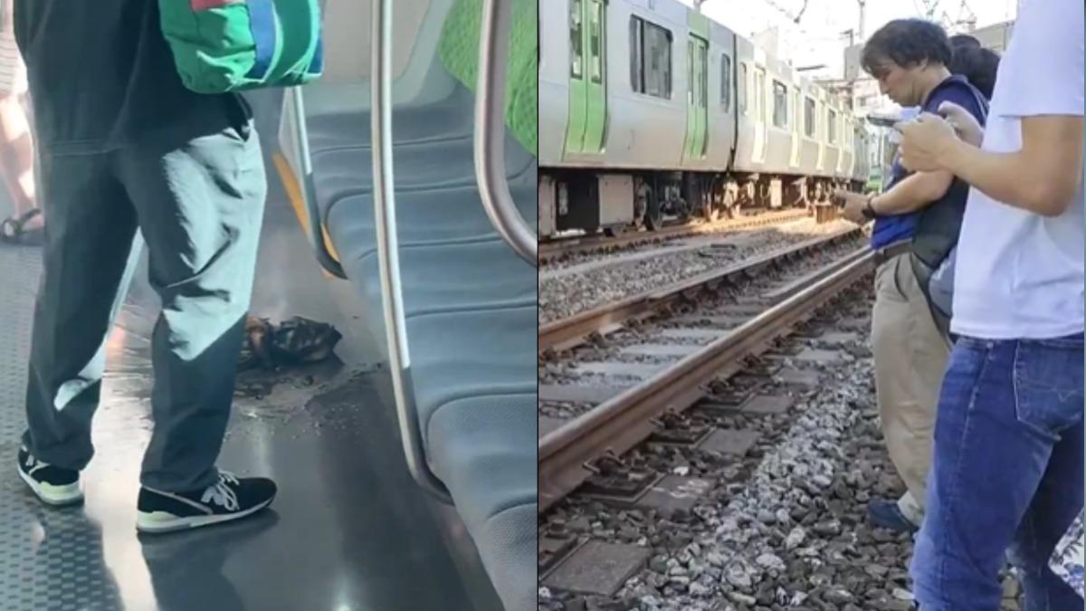 日山手線傳「行李冒火」乘客驚慌躲避 多線路列車停駛