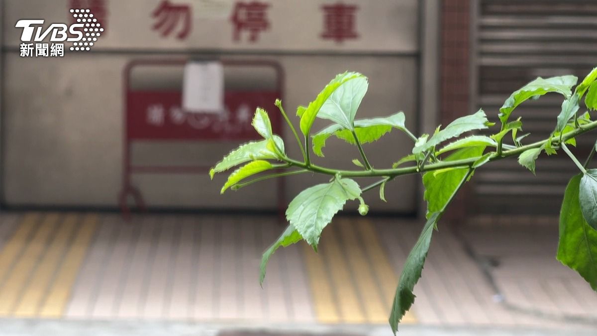 機械停車設備並未張貼使用許可證,因此當場勒令停止使用。(圖/TVBS)