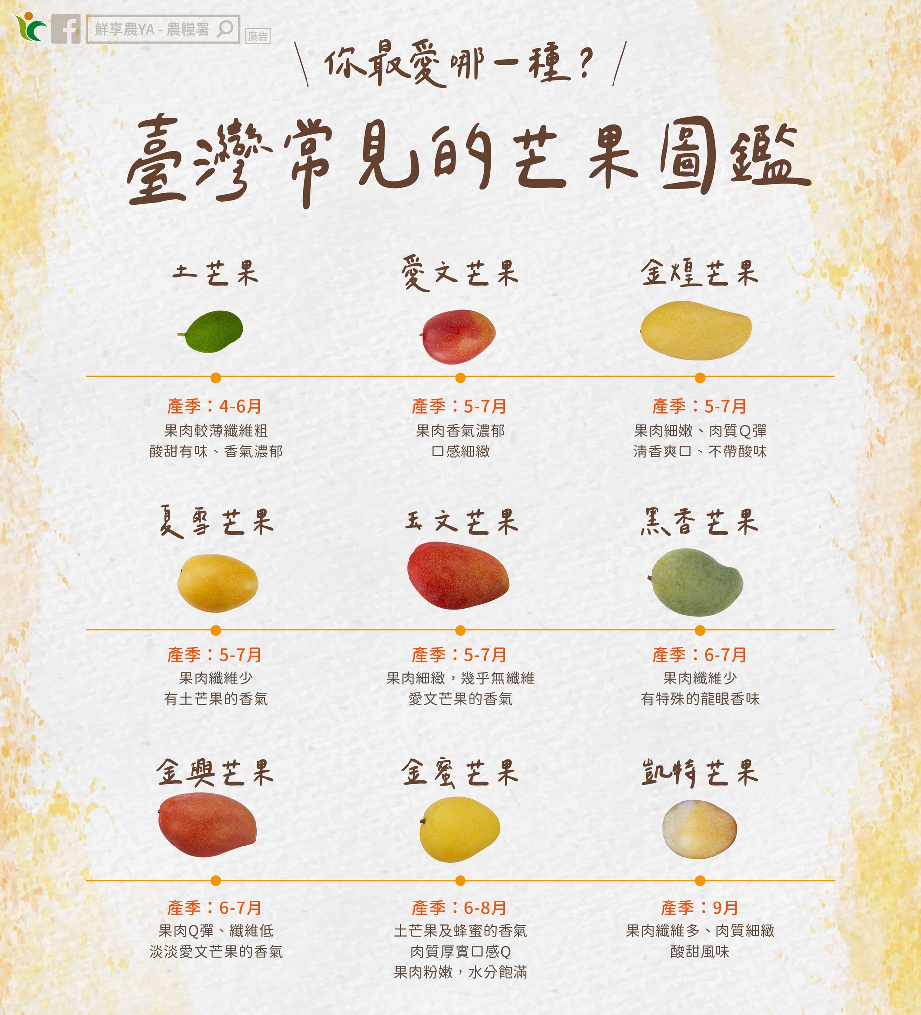 台灣常見的芒果種類。（圖／翻攝自農糧署臉書粉專）