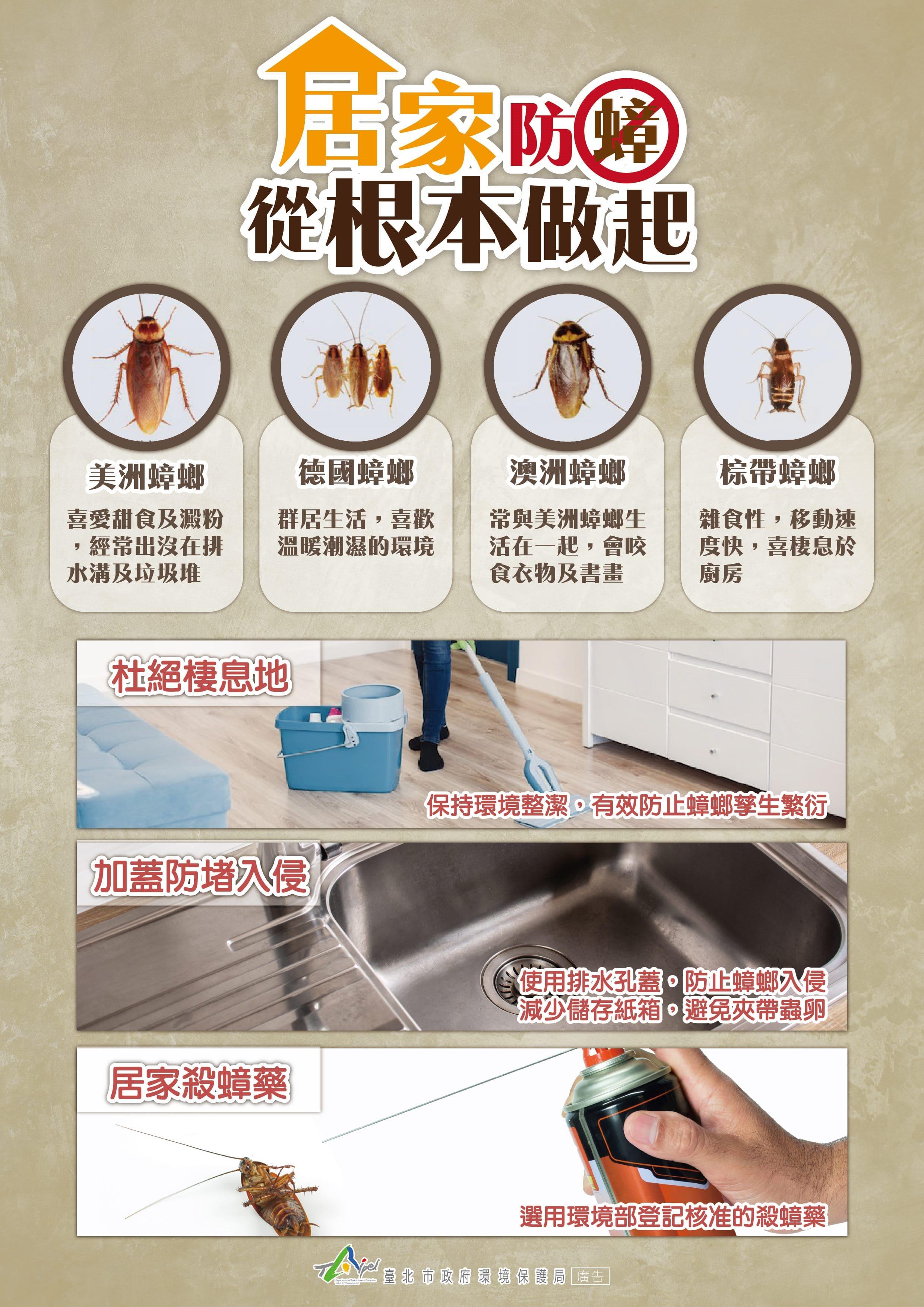 台北市環保局彙整除蟑三寶。(圖/台北市環保局提供)