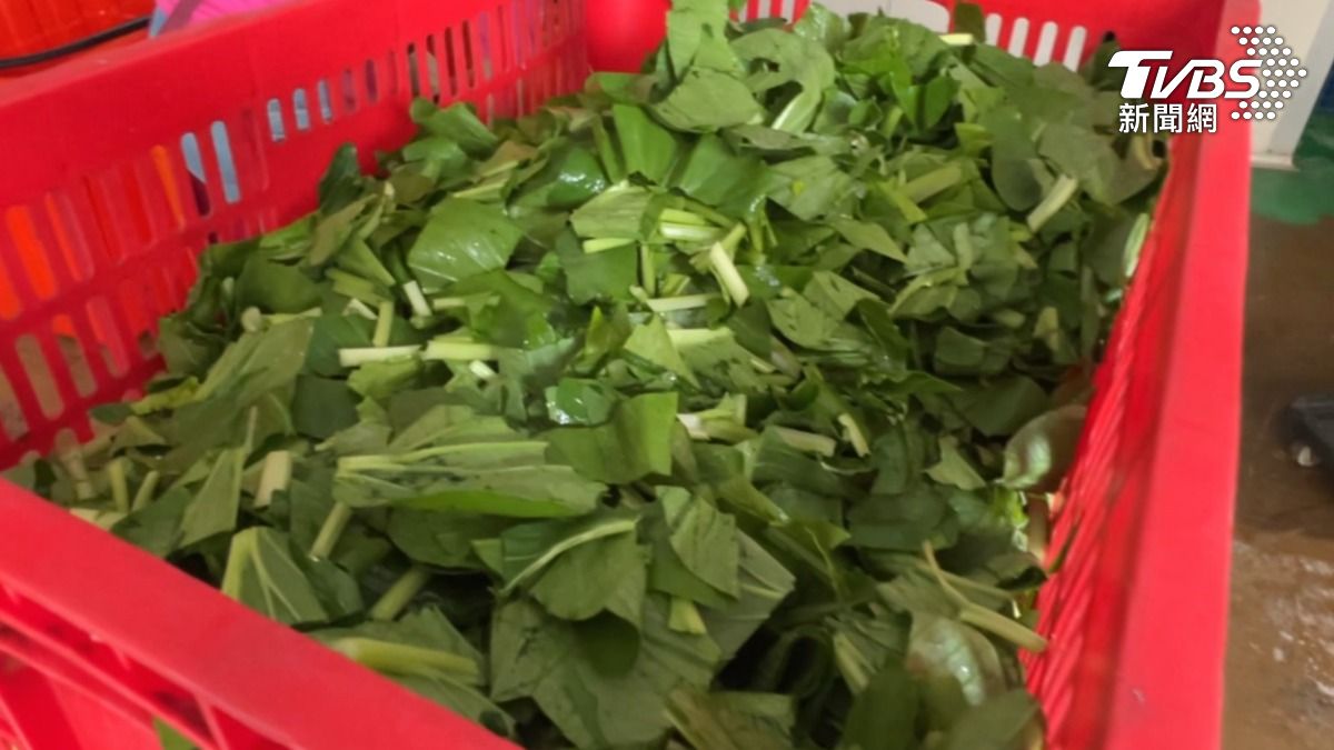 店家說菜商處理好之後 在過機器的當下它(樹枝)可能夾雜在裡面沒有注意到(圖/TVBS)