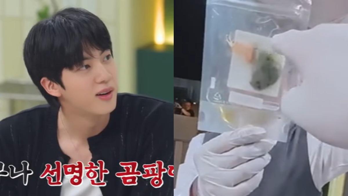 BTS成員JIN冰箱公開!出現「發霉大蒜」超驚嚇。(圖/翻攝自《拜託了冰箱》)