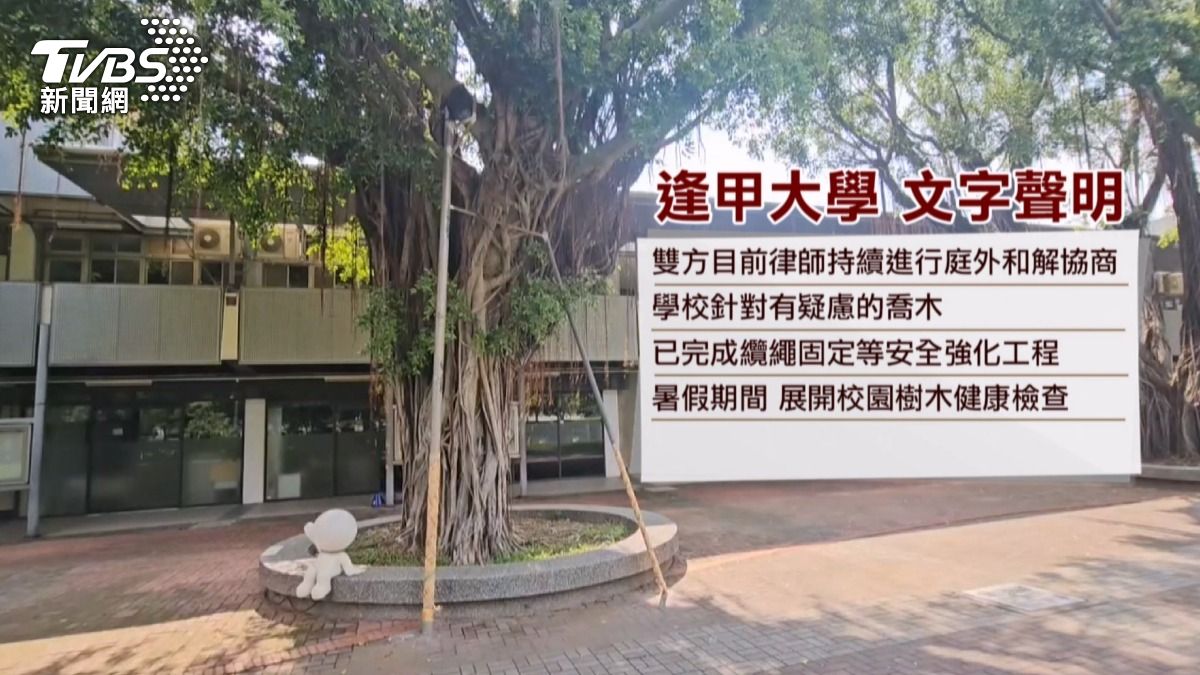暑假期間展開校園樹木健康檢查,建立風險防範計畫。(圖/TVBS)