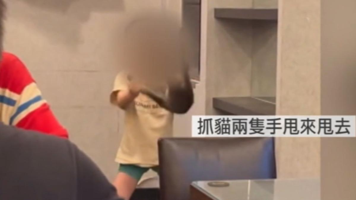 6歲男童「懸空掐貓」丟櫃，父致歉：已嚴厲教育。（圖／翻攝threads）