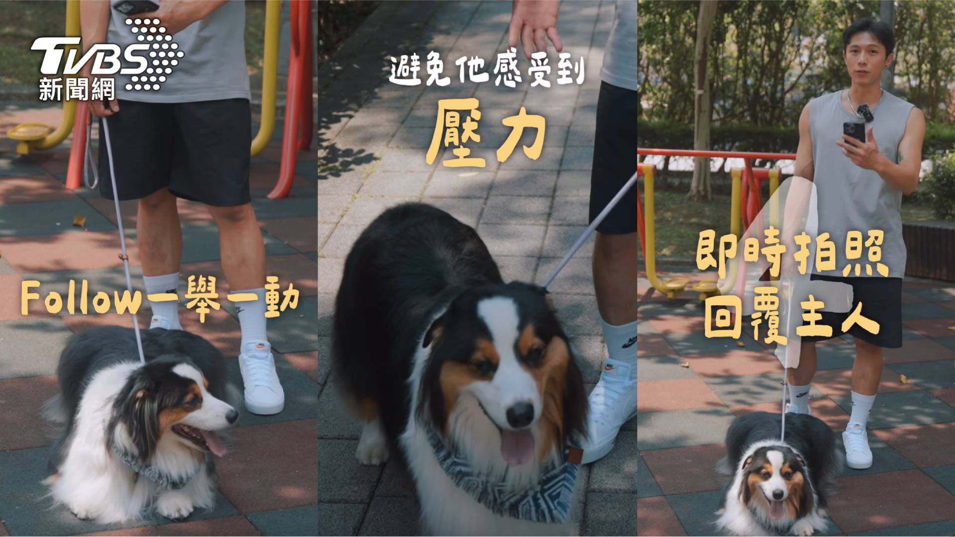 高壓世代不孤單,身心科醫師指出:養毛孩成為現代人情緒支持新選擇