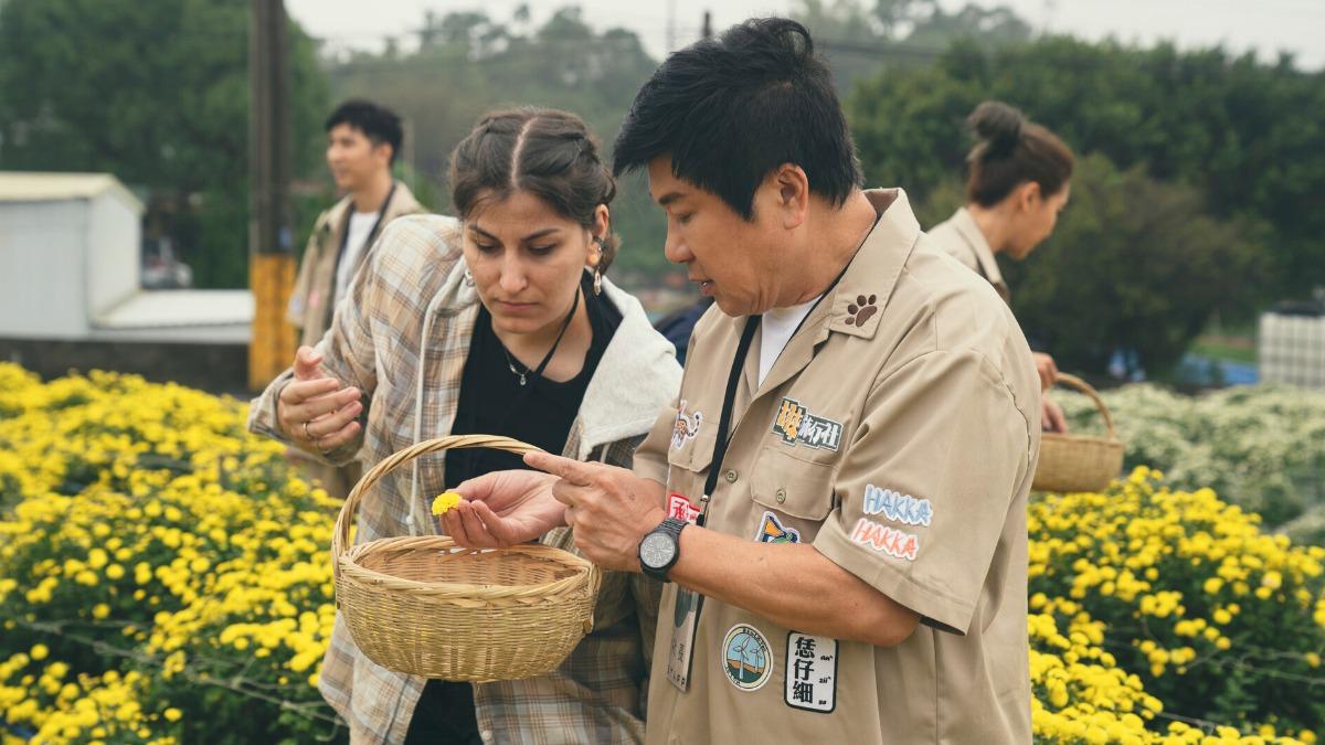 胡瓜用英文向外國遊客介紹杭菊。(圖/客家電視提供)