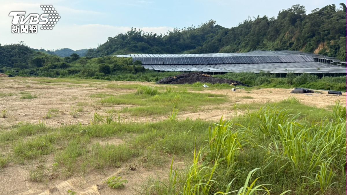 高雄大樹光電場吃掉山林。（圖／TVBS）
