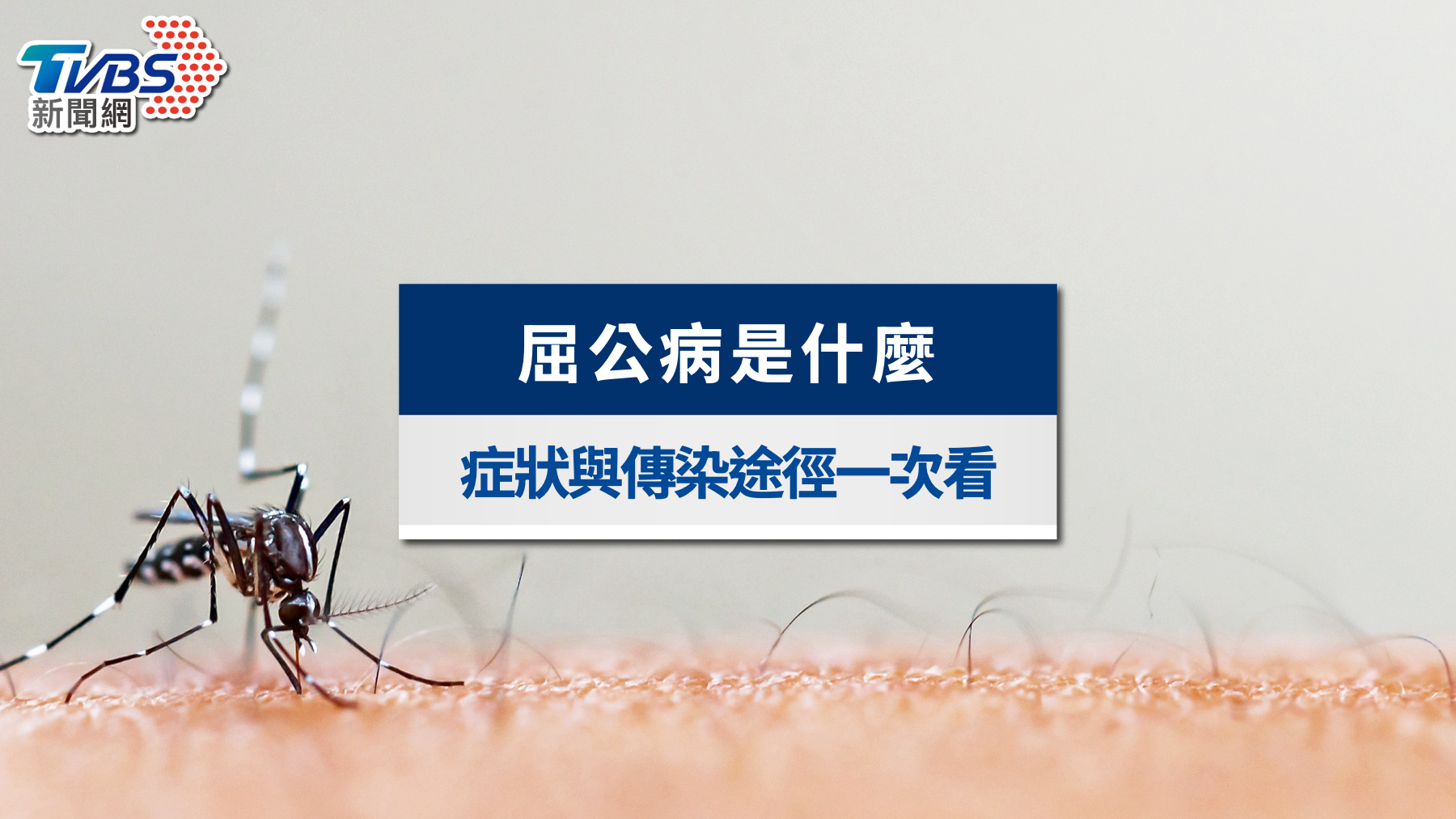 屈公病全球疫情升溫!屈公病症狀、傳染途徑與治療預防一次看懂