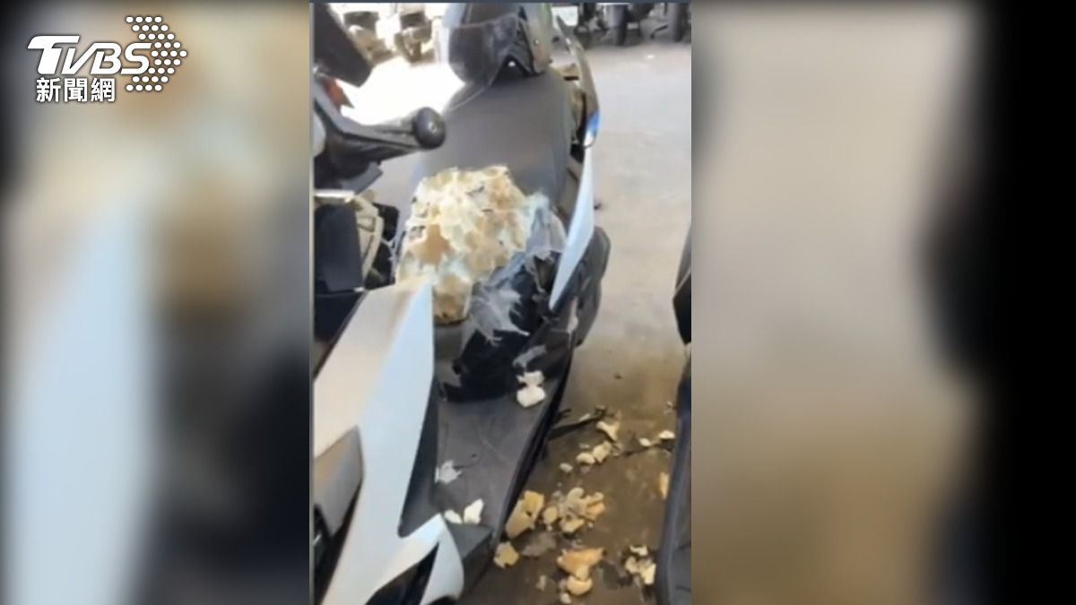 機車停在住家周圍 坐墊疑遭狗要壞。(圖/畫面翻攝:社會事新聞影音)
