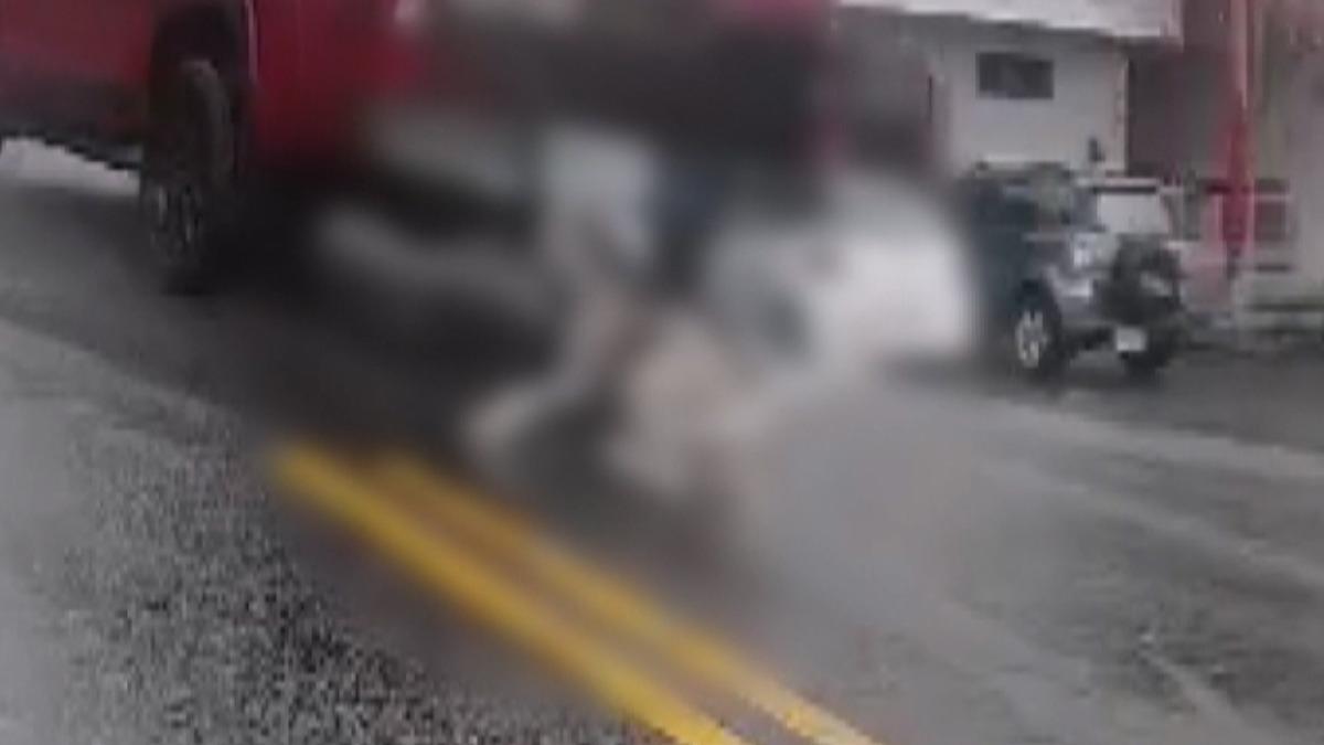 皮卡車拖行哈士奇觸法!飼主:專為牠買車,卡扣斷裂才掉出。(圖/民眾提供)