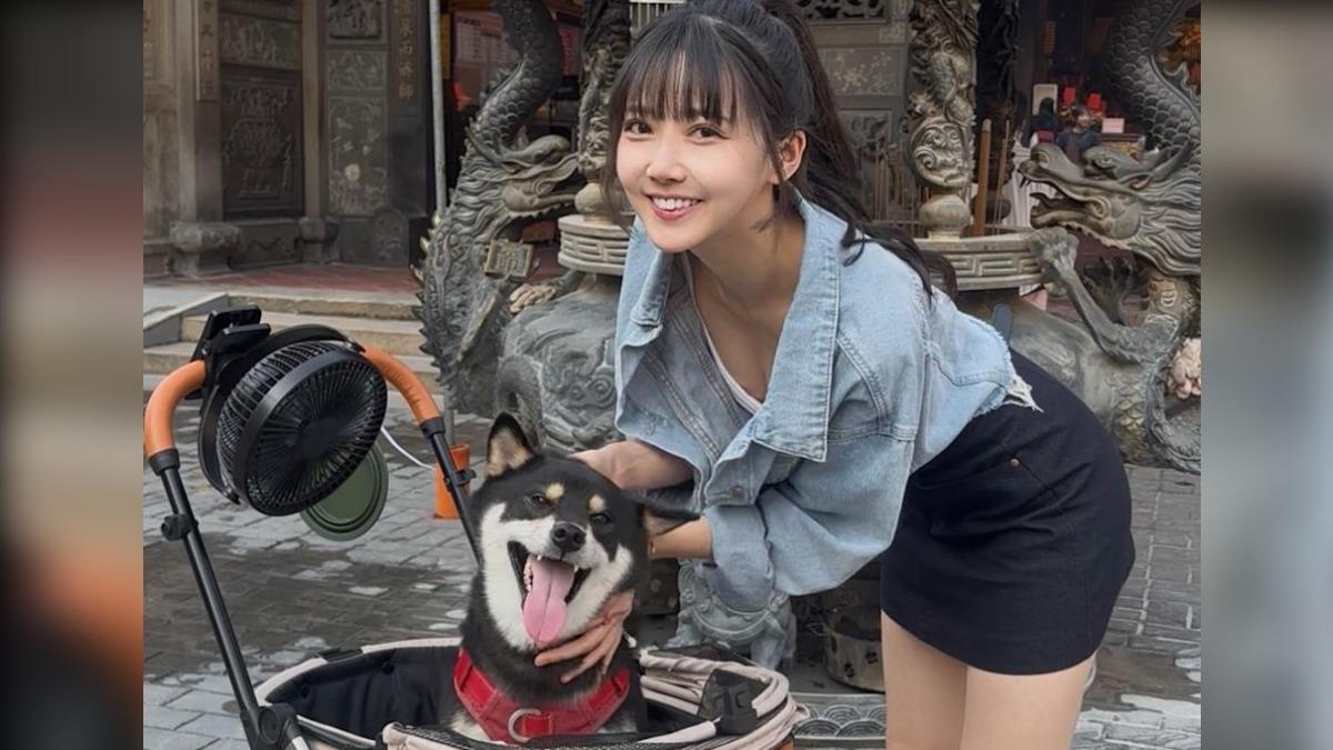 宸宸私下是徹底的毛孩控。（圖／法人流浪動物之家基金會 提供）