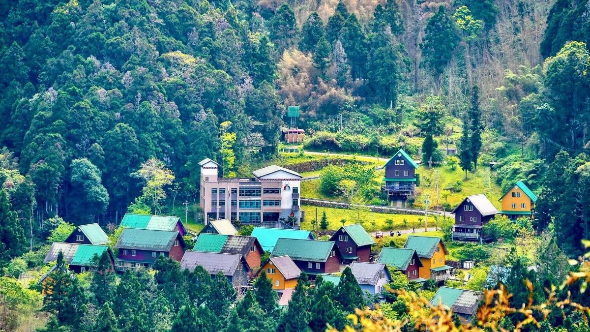 暑期國旅新選擇! 阿里山賓館推一泊三食享受森林浴