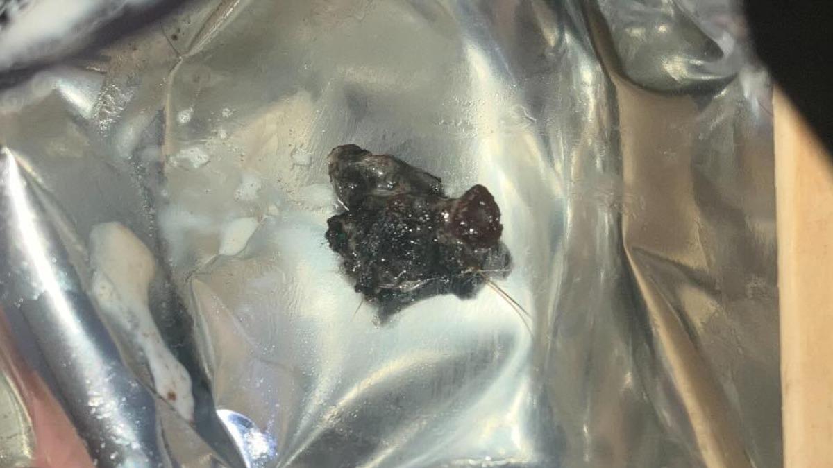 大品牌雪糕吃到一坨黑色毛髮惡臭物!他慘烙賽 業者回應了