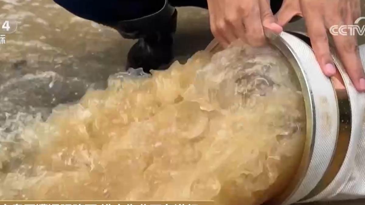 官方正在進行排水作業。（圖／截自央視）