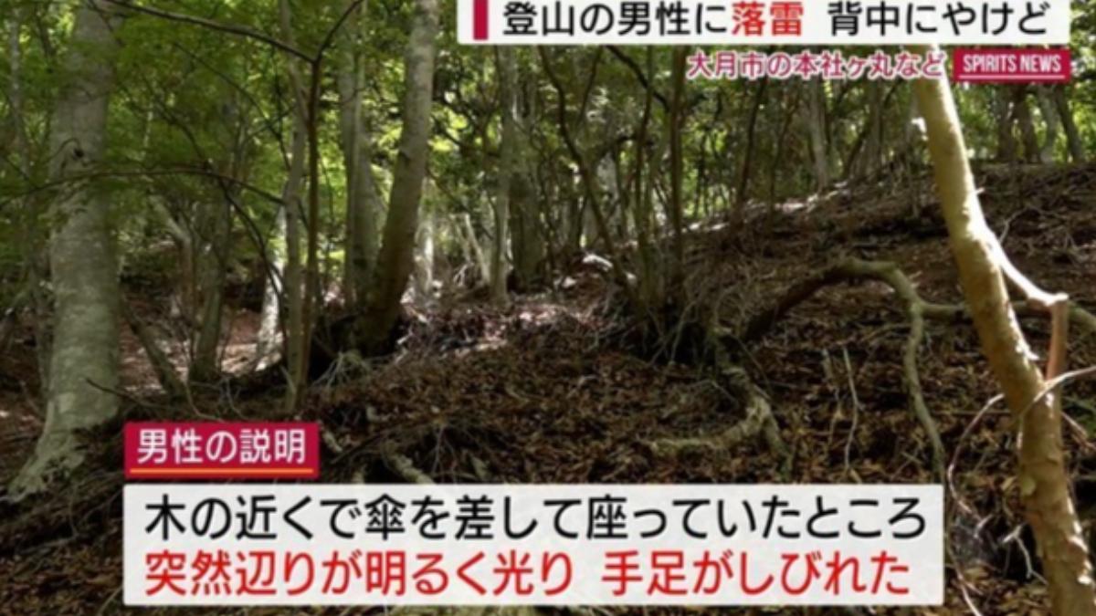 日登山客遇雷雨!樹下撐傘「突見白光」癱倒 背部燒燙傷送醫