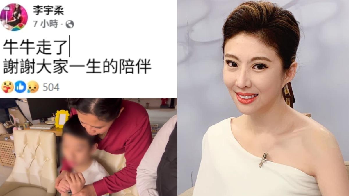 女星15歲罕病兒驟逝，崩潰泣訴:再也看不到他。（圖／翻攝自李宇柔FB）