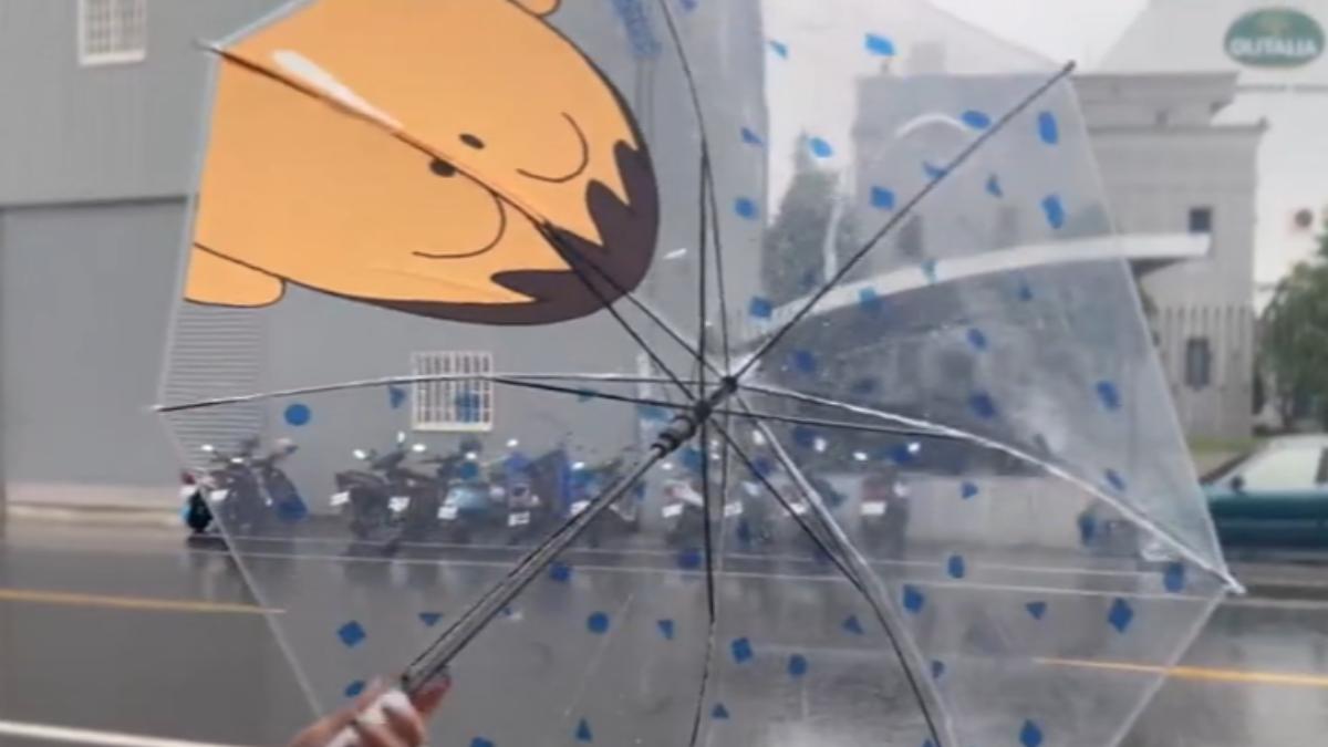 超萌阿呆雨傘，引起網路討論。（畫面提供／御衣坊）