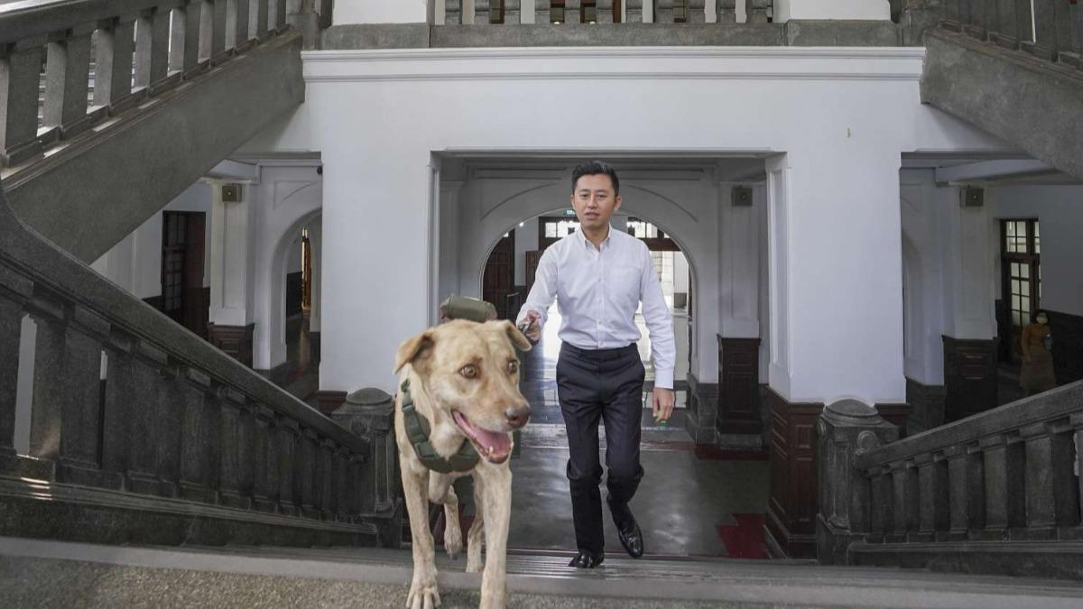棕棕過去擔任市犬,常隨時任市長林智堅出席各樣活動。(圖/新竹市政府)