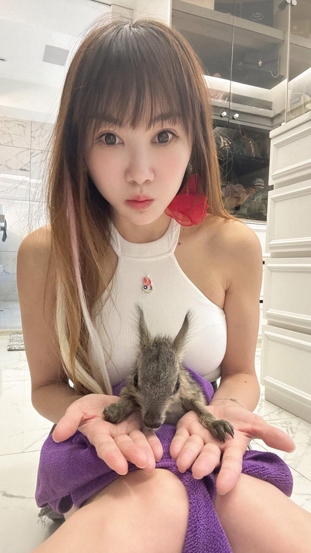 王宥忻家中飼養的兔豚生下超可愛的新寶寶。(圖/《女神愛啪啪 IPAPA》提供)