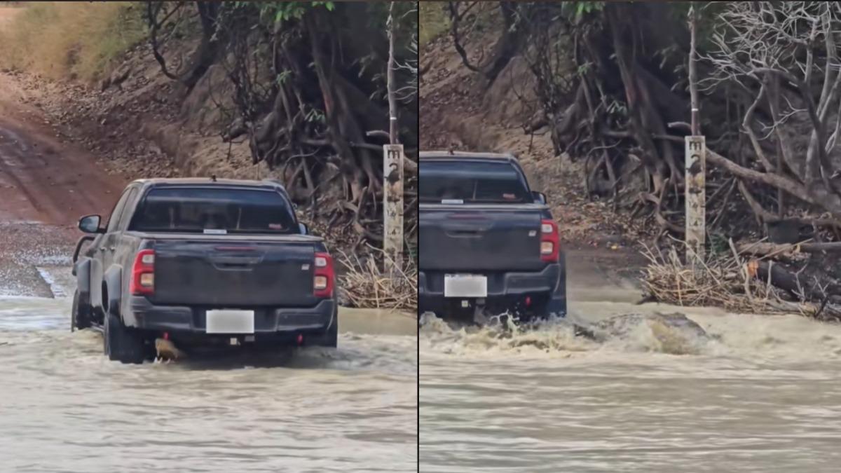 澳駕駛開車渡河「超巨大鱷魚」從車輪間爬出　驚人畫面曝