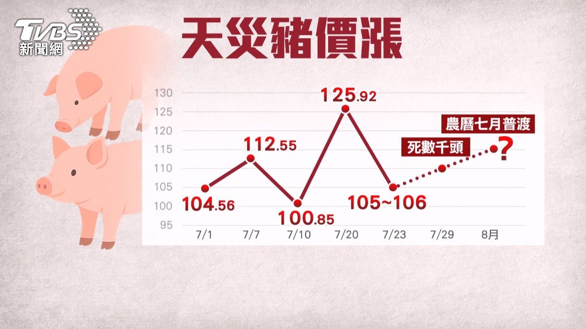 29號全台豬隻拍賣行情,每公斤逼近106元,但由於接下來還有中元普渡,恐怕豬價將有兩成漲幅。(圖/TVBS)