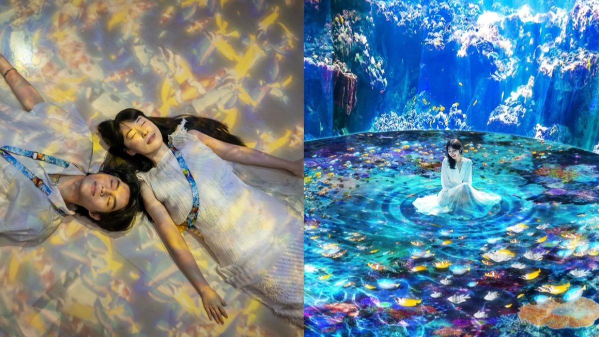 網美必拍!Xpark 最大「沉浸式體驗展」 1秒走進海底世界