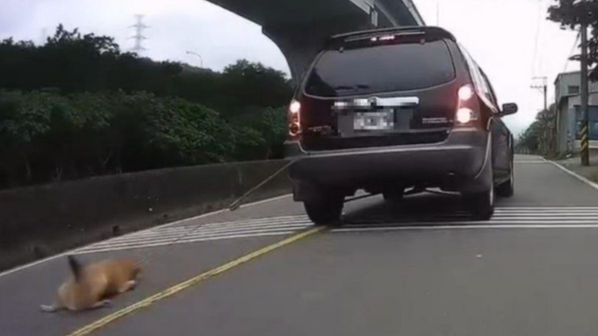 小黃狗遭拖行「傷口見骨」痛苦哀號!熱心民眾急攔車…飼主慘了
