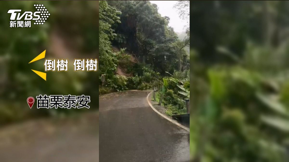 苗栗山區道路坍方！「大樹倒落石」阻路。(圖／民眾提供)